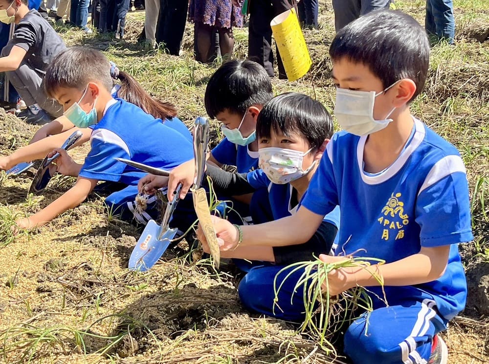 月眉國小學生開心體驗採收部落保種圃種球，具接棒傳承意義_將另開新視窗