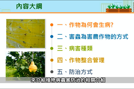 都市農業-植物病蟲害防治概論（含植保資材調製及施用操作）_將另開新視窗