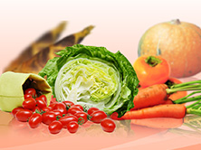 果樹及花木嫁接技術(一)－樹木生理與嫁接原理_將另開新視窗